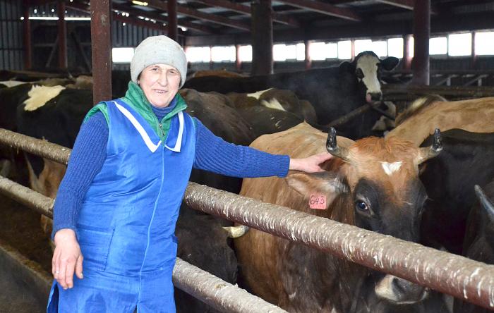 Валентина Николаевна Ершова – одна из лучших доярок АО «Кузятовское», опытная и ответственная труженица